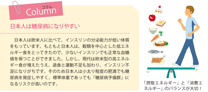 食事の基本は適量をバランスよく