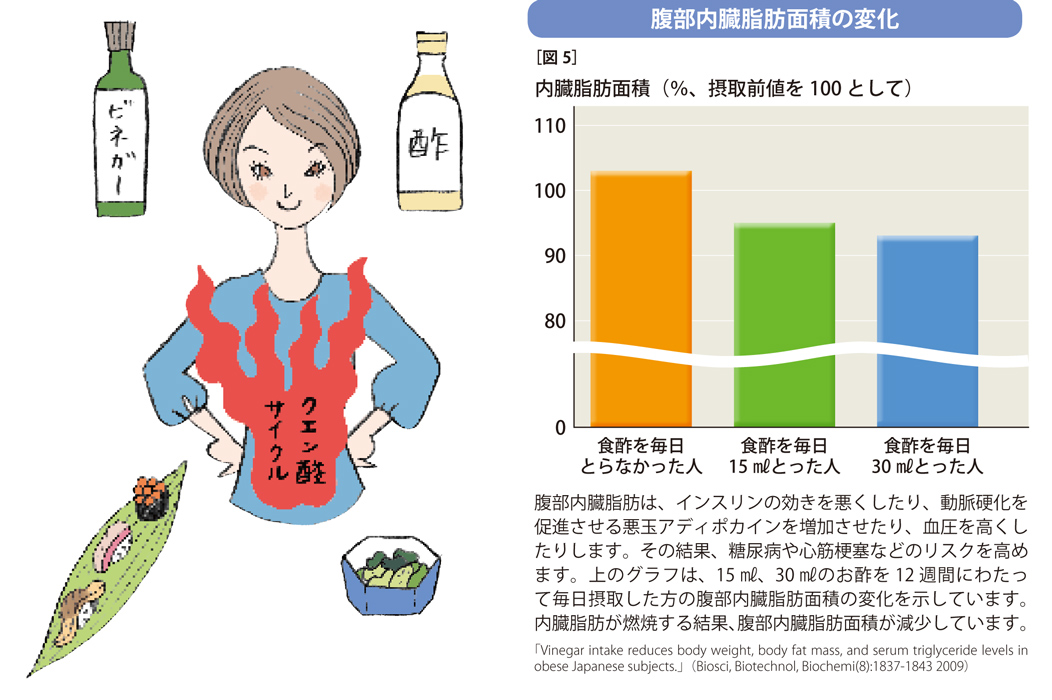 でんぷんの消化を遅らせる酢。脂肪を燃焼させる作用も