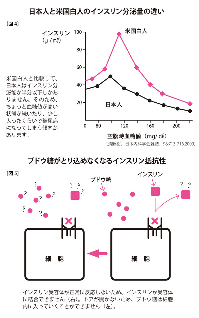 インスリンの働きが悪くなりやすい、現代人の食生活